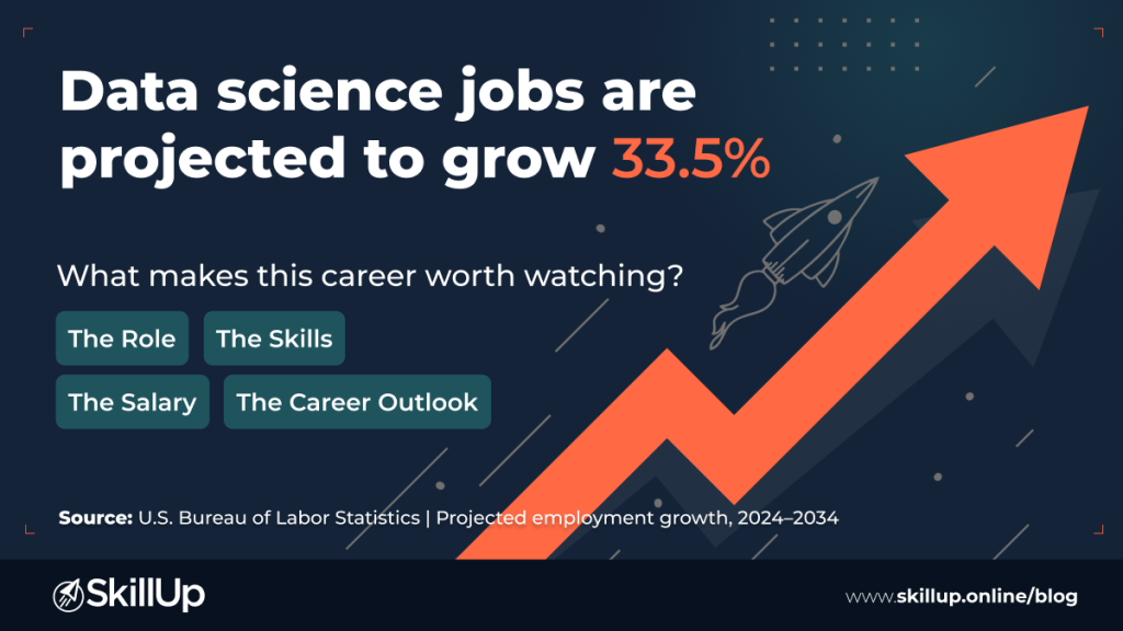 what is a data scientist