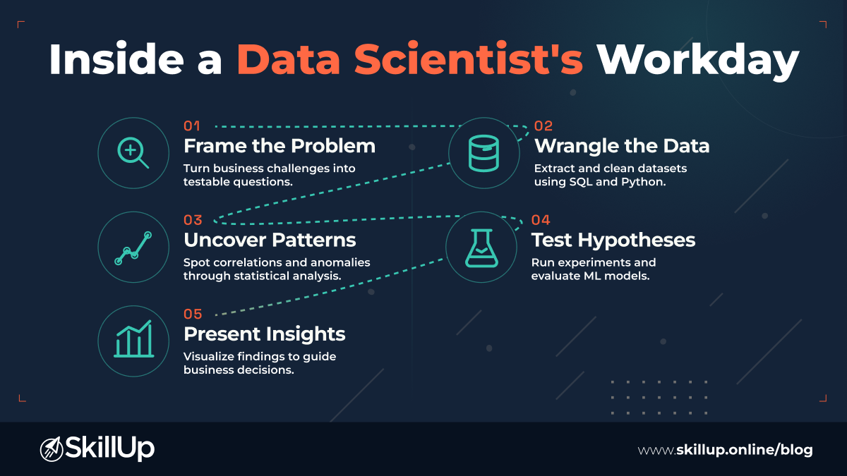 data scientist skills 