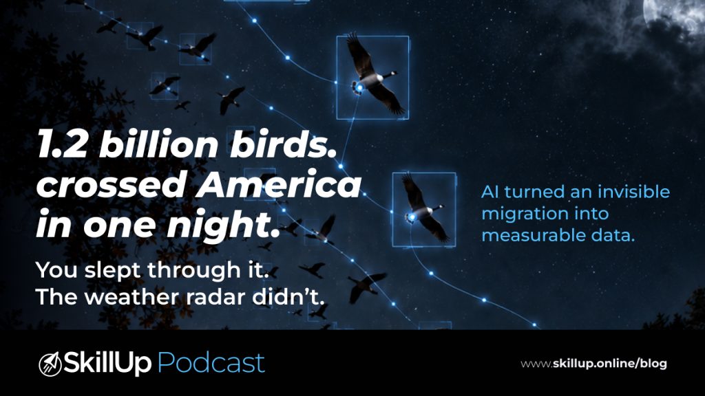 SkillUp Podcast : The Night a Billion Birds Flew Over America