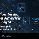 The Night a Billion Birds Flew Over America