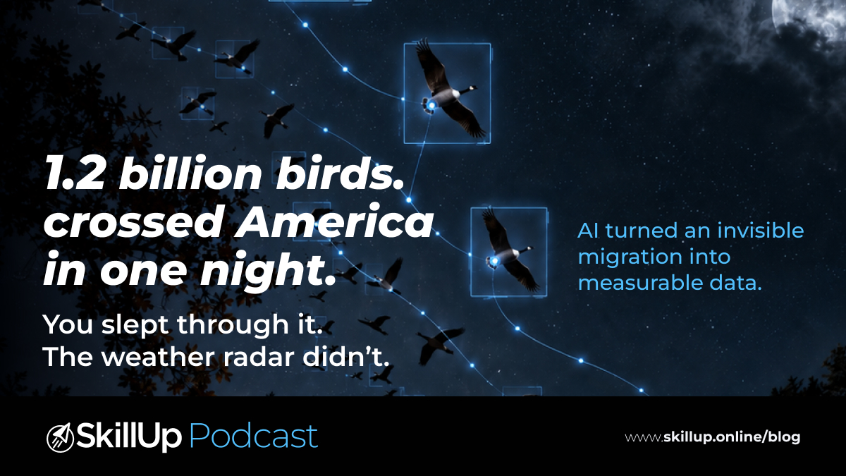 SkillUp Podcast : The Night a Billion Birds Flew Over America