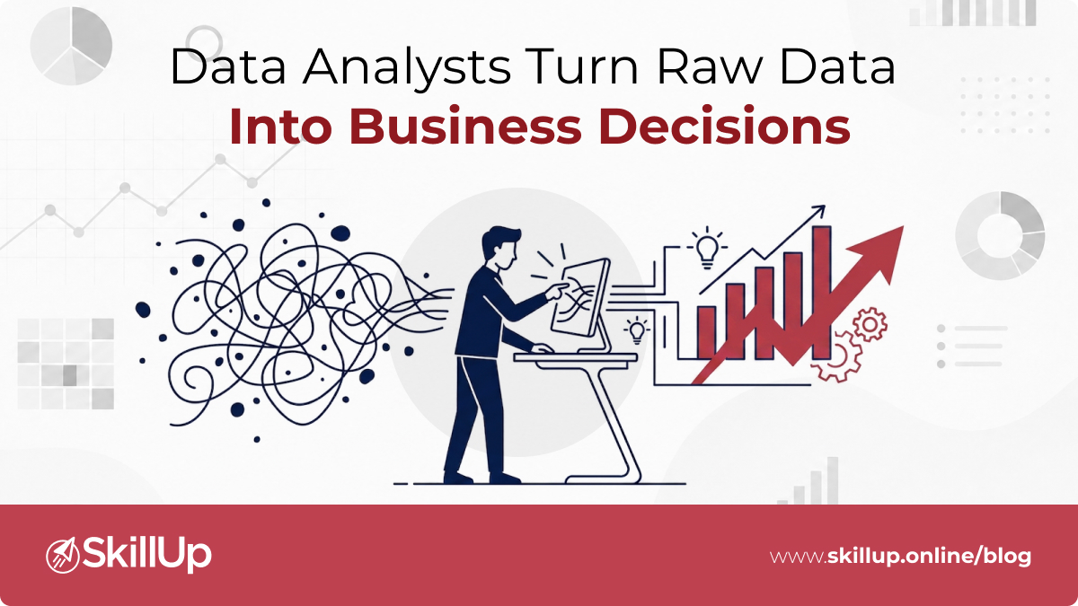 data analyst