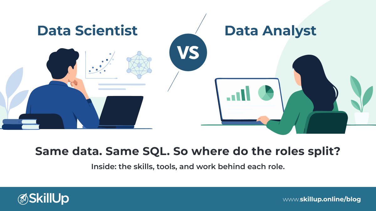data scientist vs data analyst