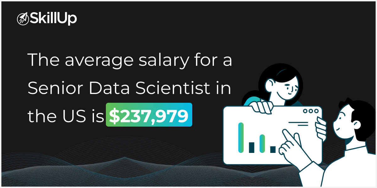 average salary of senior data scientist