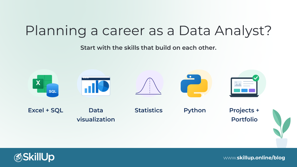 Become a Data Analyst
