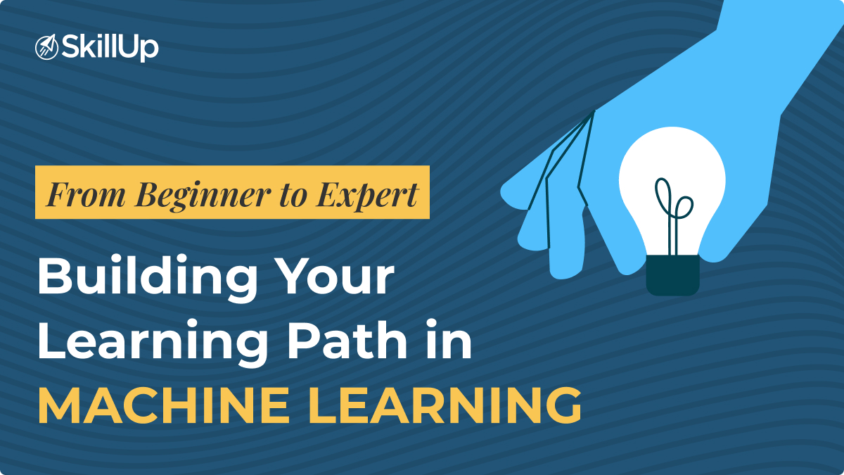 from beginner to expert building your learning path in machine learning