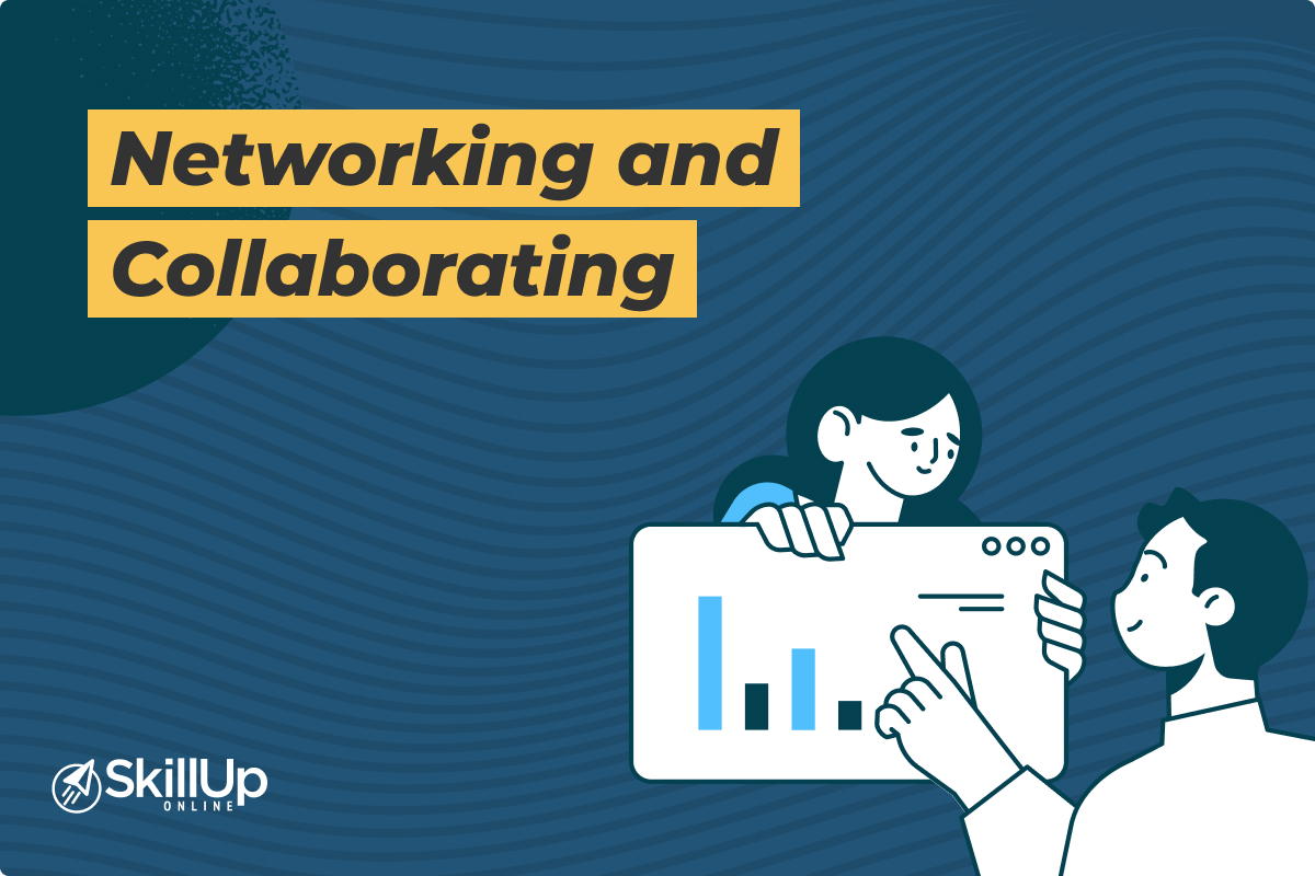 networking and collaborating